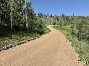 View of dirt / gravel road featuring a wooded view
