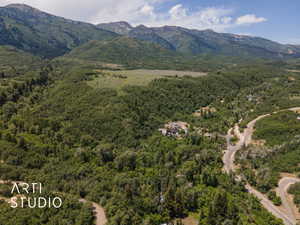 View of mountain backdrop with a heavily wooded area