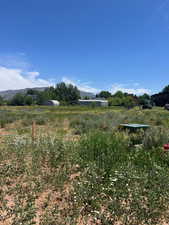 View of yard with a view of rural / pastoral area and a mountain view