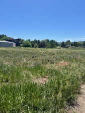 View of yard featuring a view of rural / pastoral area