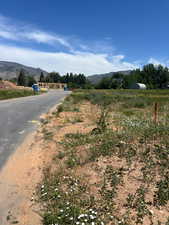 View of asphalt road featuring a mountain view and a view of rural / pastoral area