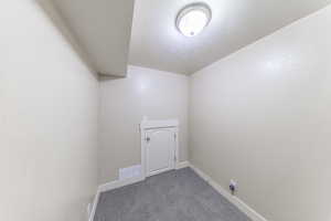 Door to spacious crawlspace in basement.