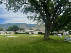 Park like area