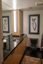 Bathroom featuring a sink and toilet
