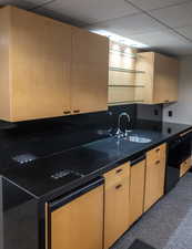 Kitchen with carpet flooring, dishwasher, a drop ceiling, and dark countertops