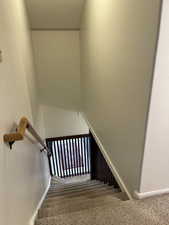 Stairs with carpet