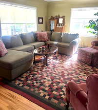 Living room with healthy amount of natural light