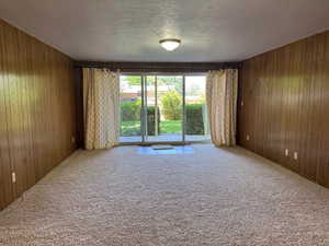 Spare room with wooden walls, carpet, and a textured ceiling