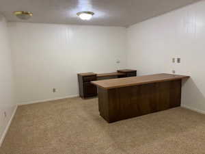 Unfurnished office with light carpet and a textured ceiling