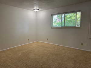 Unfurnished room with carpet and a textured ceiling