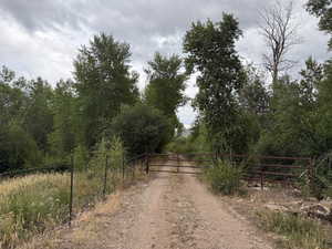 View of dirt / gravel road featuring a forest view