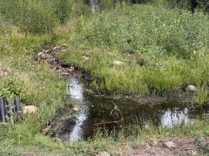 Small natural streams
