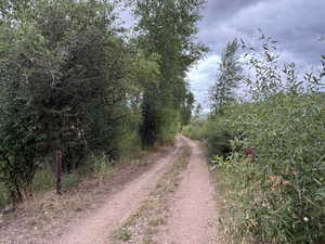 Very private access road