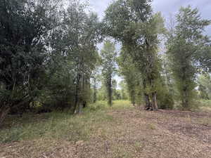 Access to meadow / building site