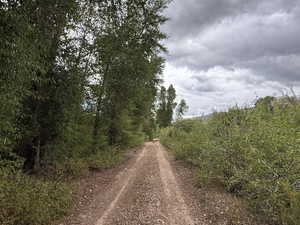 View of dirt / gravel road