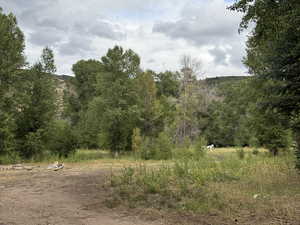 Very private, surrounded by mature trees