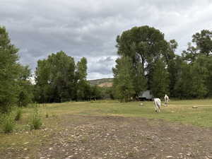 Very large building site