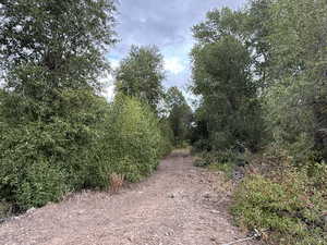 Secluded private road