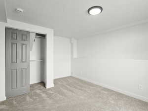 Large basement bedroom with new carpet floors and  windows.