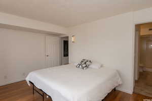 Huge Primary Bedroom with King Size Bed