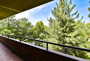 Expansive balcony View