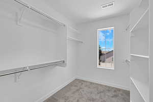 Walk in closet featuring light colored carpet