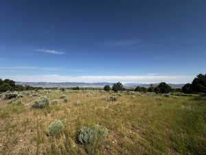 View of nature