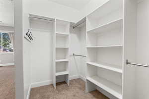 LARGE Walk-in closet