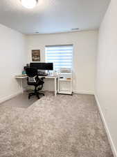 Carpeted office/bedroom  space with a textured ceiling and walk-in closet