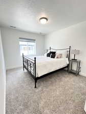 Carpeted bedroom featuring a large window and walk-in closet