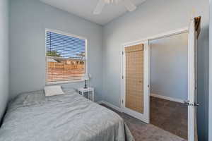 Bedroom featuring ceiling fan, dark colored carpet, and dark stone finish floors