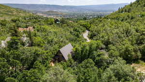 Aerial view of a forest and mountains