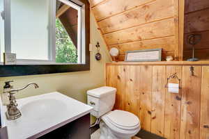 Bathroom featuring vanity and lofted ceiling