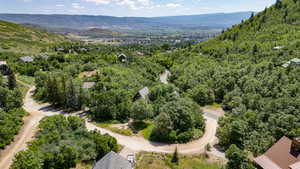 Bird's eye view of a mountain backdrop and a heavily wooded area