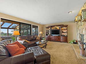 Living room with plenty of natural light, a textured ceiling, and carpet