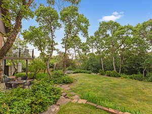 View of grassy yard with a patio area