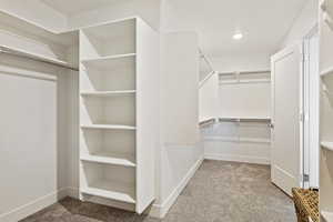 Walk in closet with carpet flooring
