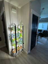 Hall featuring wood finished floors and a textured ceiling
