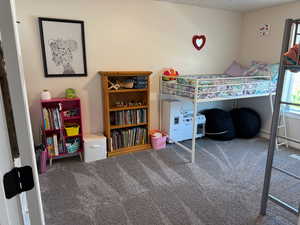 Bedroom with carpet floors