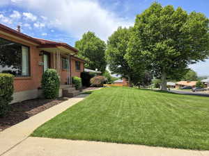 View of green lawn