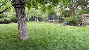 View of grassy yard with a trampoline