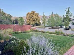 View of yard featuring a mountain view