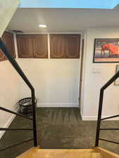 Stairs featuring carpet flooring and a skylight