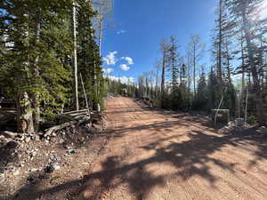 View of dirt / gravel road