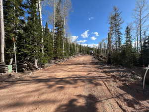 View of dirt / gravel road