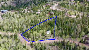 View of property location with a forest and property parcel outlined
