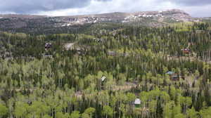 Aerial view of property and surrounding area with a forest and a mountain backdrop