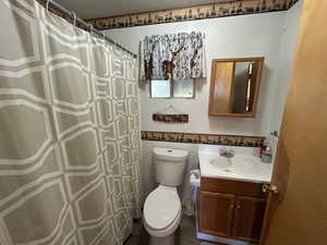 Bathroom with vanity and curtained shower