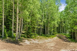 View of undeveloped land