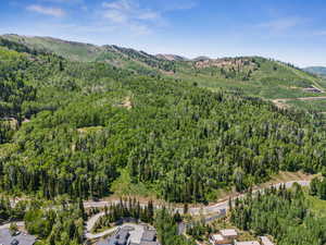 Aerial overview of property's location featuring a heavily wooded area and mountains